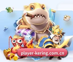 五大服务分区,信息按项目分类 | kaiyun